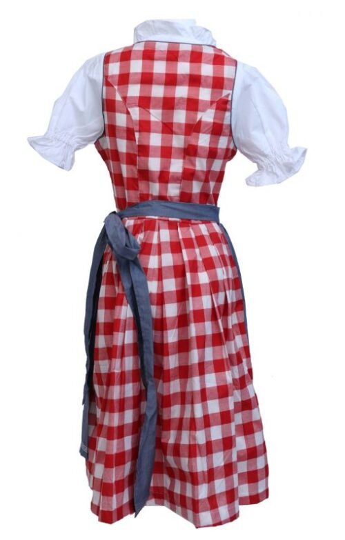 Wensky Midi Denim Dirndl Red Check - Image 5